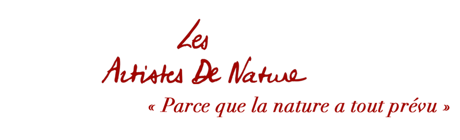 Les Artistes De Nature logo